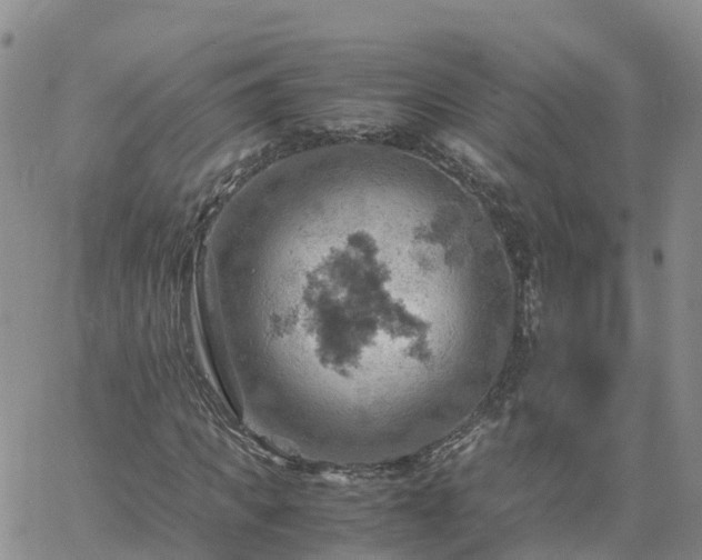 X0000061740917200512091606