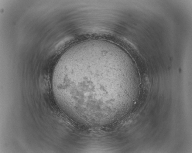 X0000061740918200512091606