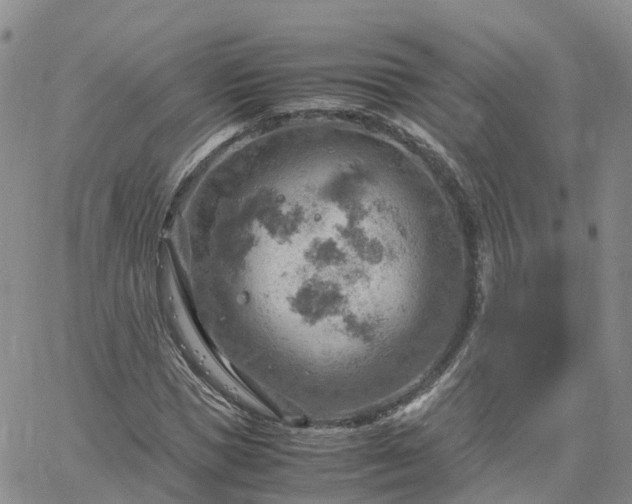 X0000061740921200512091606