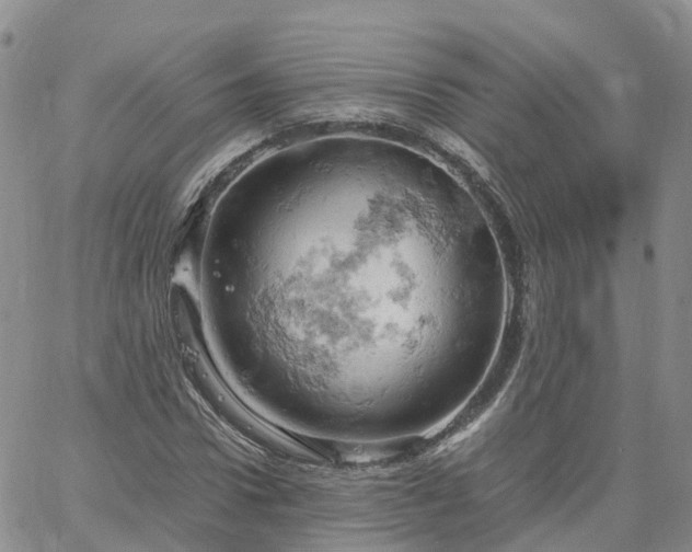 X0000061740922200512091606