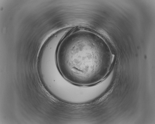 X0000061740924200512091606