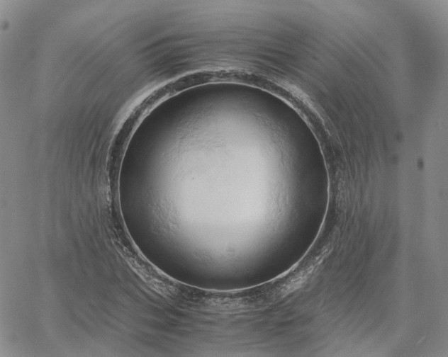 X0000061740927200512091606