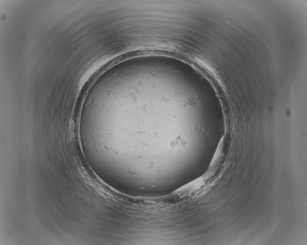 X0000061740928200512091607