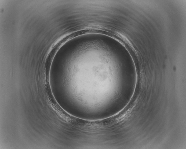 X0000061740931200512091607