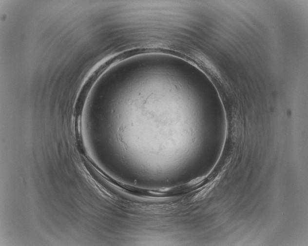 X0000061740932200512091607