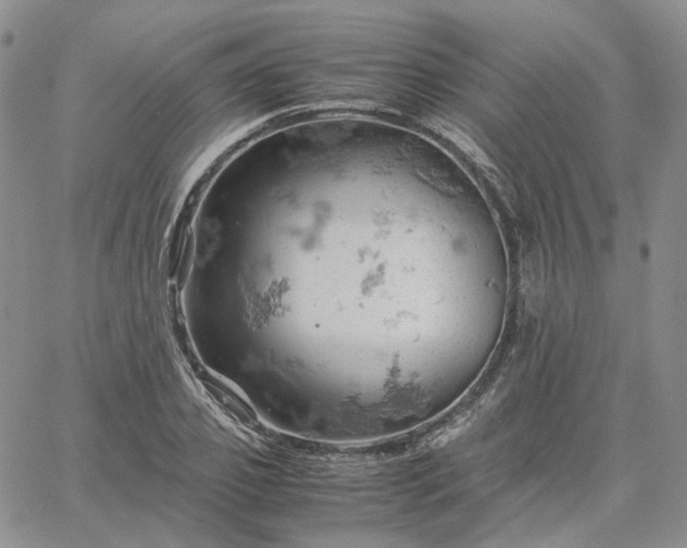 X0000061740933200512091607