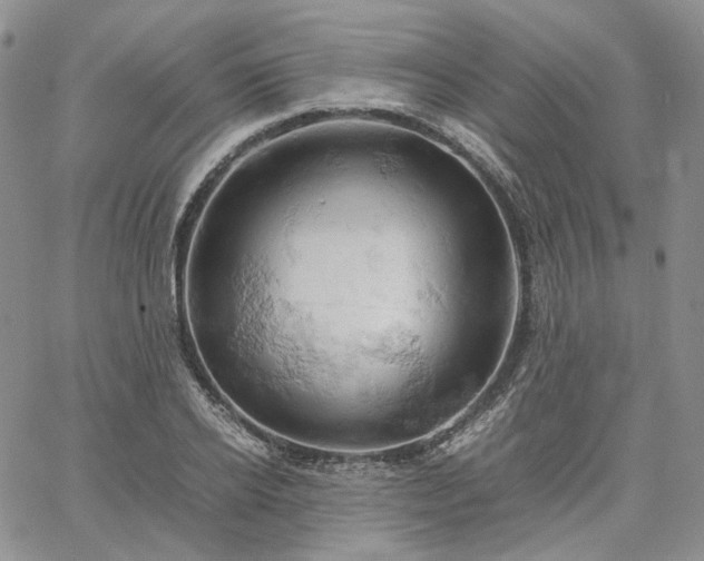 X0000061740934200512091607