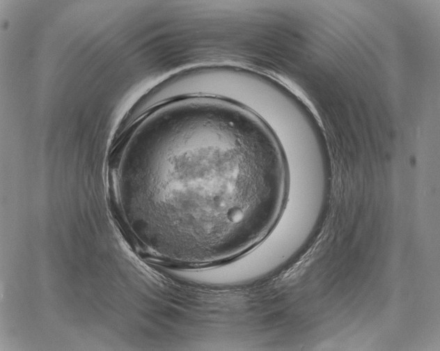 X0000061740935200512091607