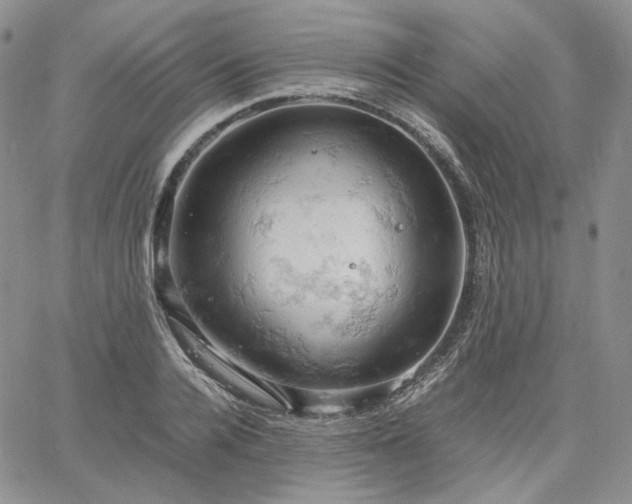 X0000061740936200512091607