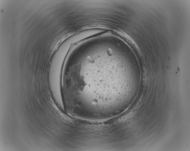 X0000061740937200512091607