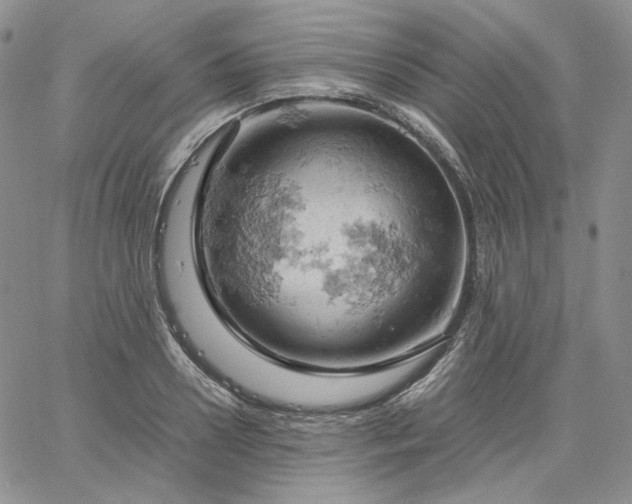 X0000061740938200512091607