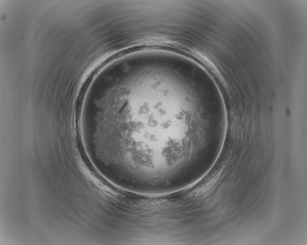 X0000061740939200512091607