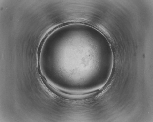 X0000061740940200512091607