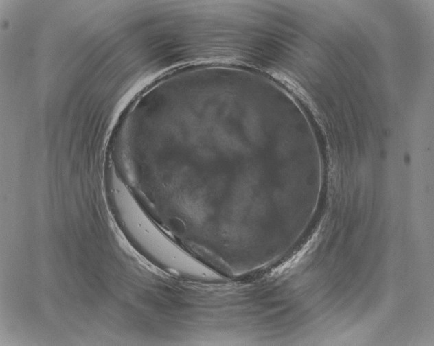 X0000061740941200512091607