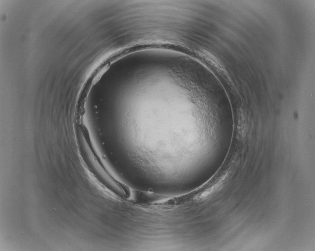 X0000061740942200512091607