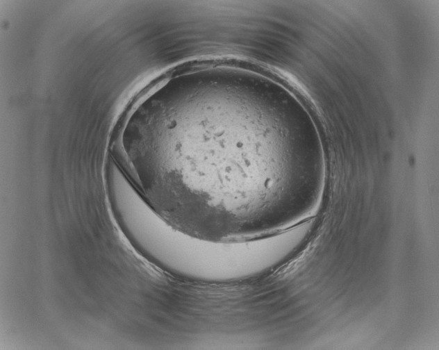 X0000061740943200512091607