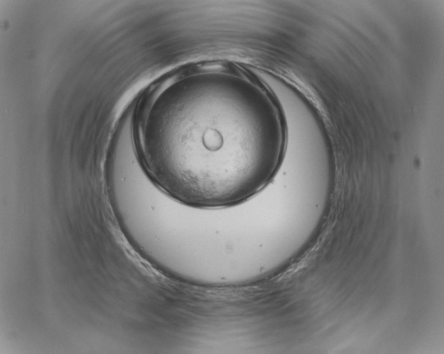 X0000061740944200512091607