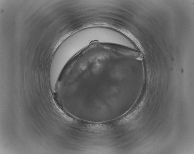 X0000061740945200512091607