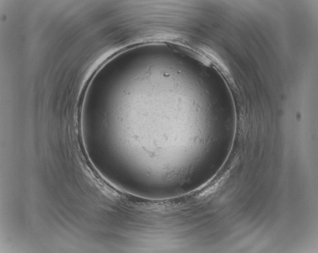 X0000061740948200512091607