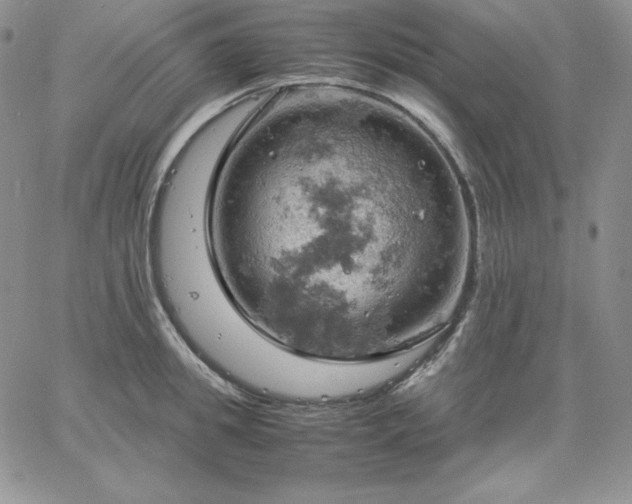 X0000061740949200512091607