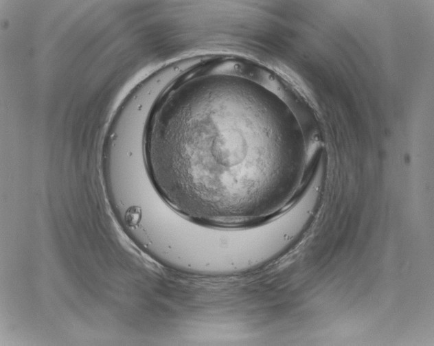 X0000061740950200512091607