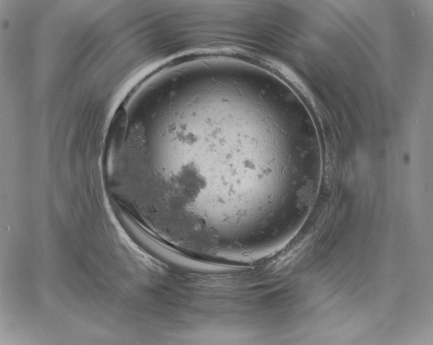 X0000061740951200512091607