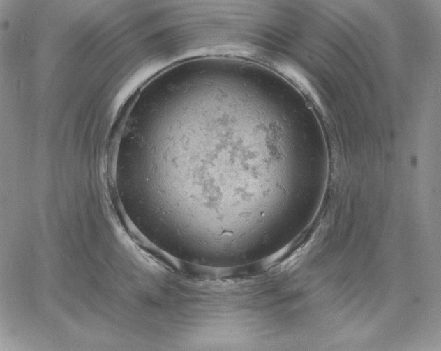 X0000061740952200512091607