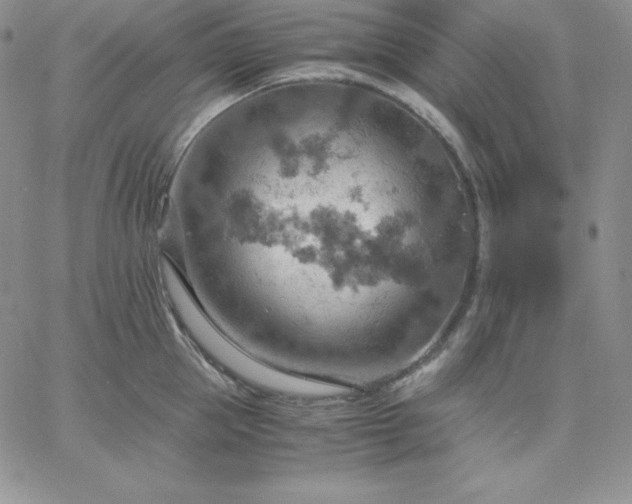 X0000061740953200512091607