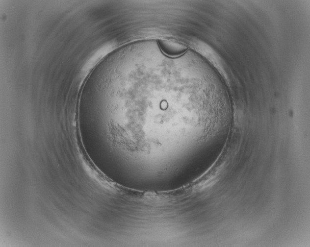 X0000061740954200512091607