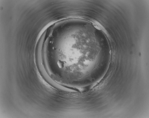 X0000061740955200512091607