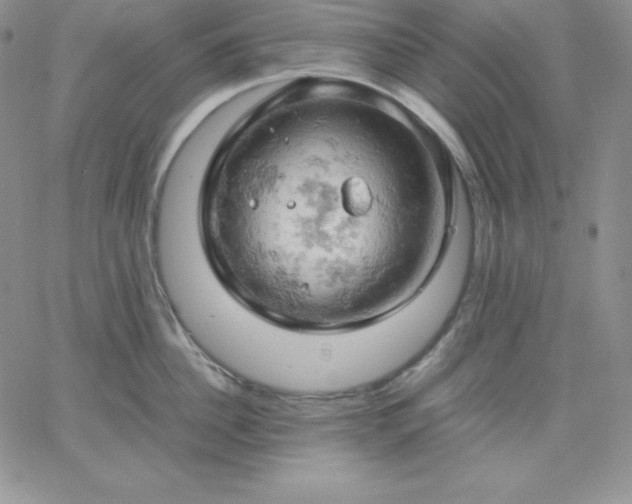 X0000061740956200512091607