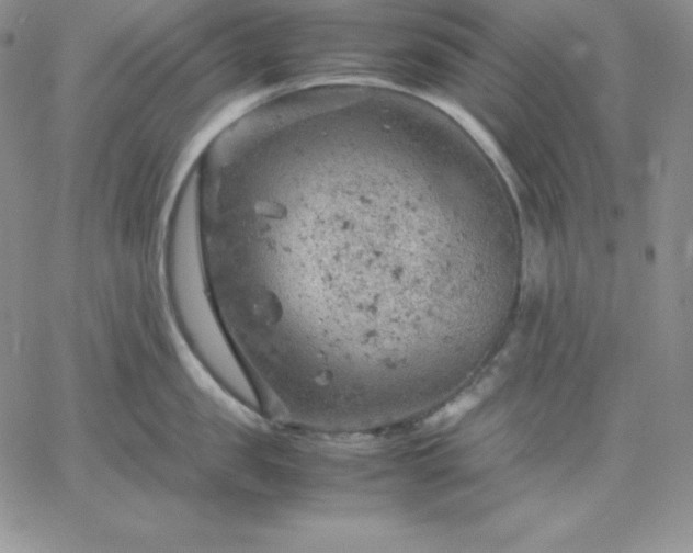 X0000061740957200512091607