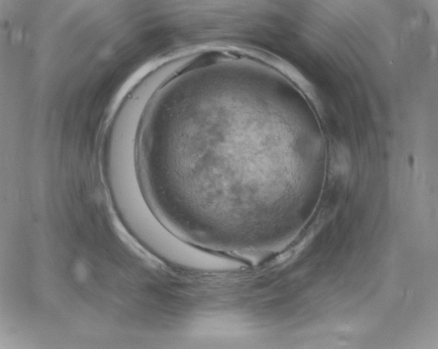 X0000061740958200512091607