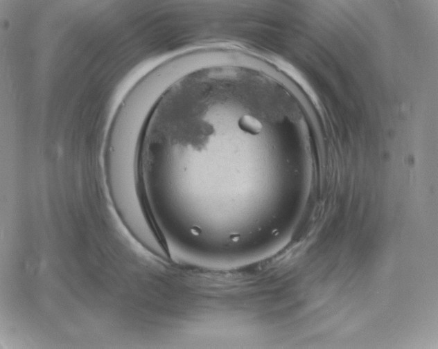 X0000061740959200512091607