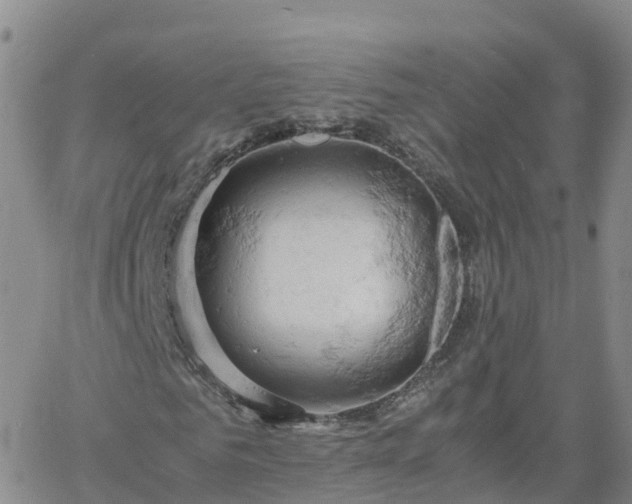 X0000061740961200512091606