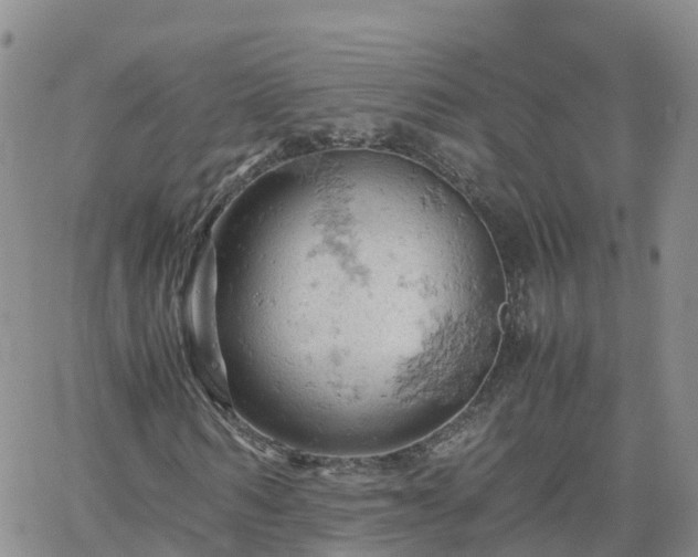 X0000061740962200512091606