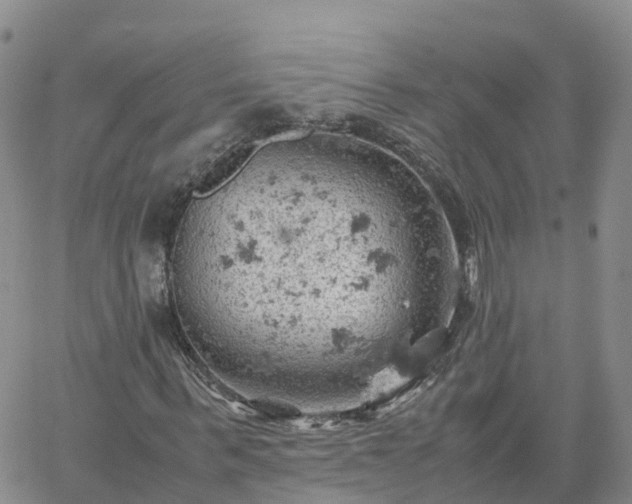 X0000061740963200512091606