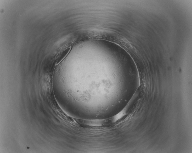 X0000061740964200512091606