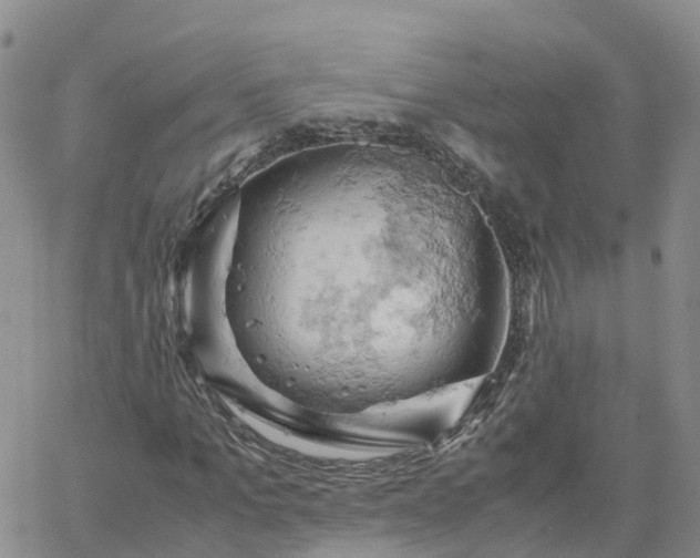 X0000061740965200512091606