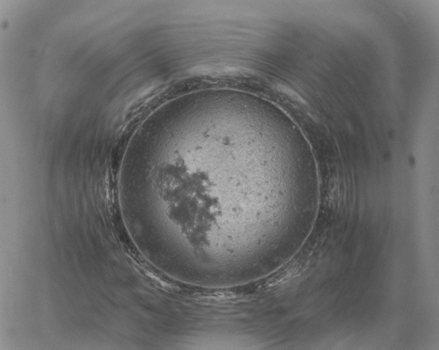 X0000061740966200512091606