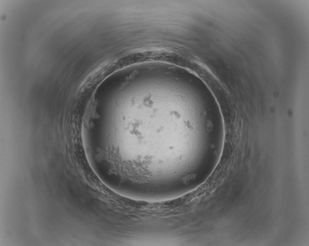 X0000061740967200512091606