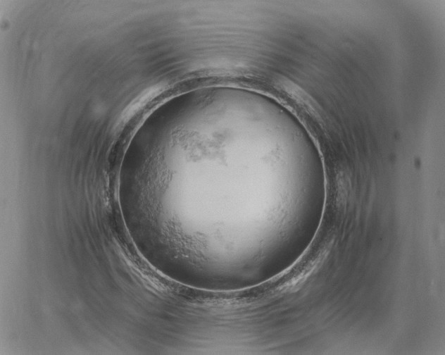 X0000061740970200512091606