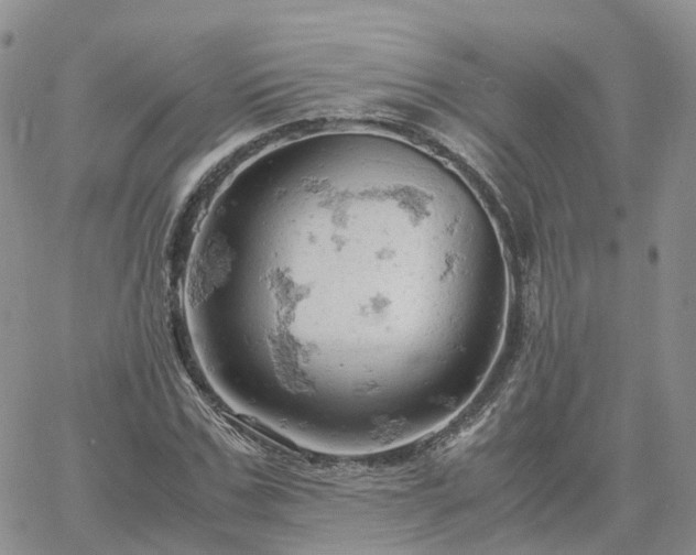 X0000061740971200512091606