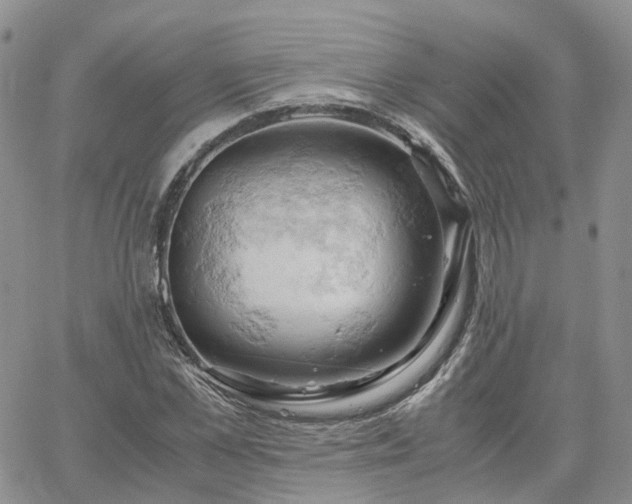 X0000061740973200512091606