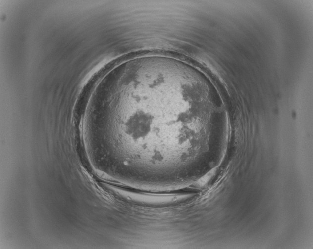 X0000061740975200512091606