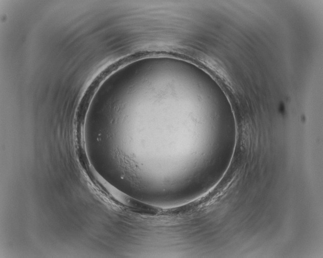 X0000061740976200512091606