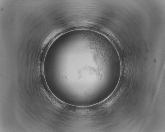 X0000061740978200512091606