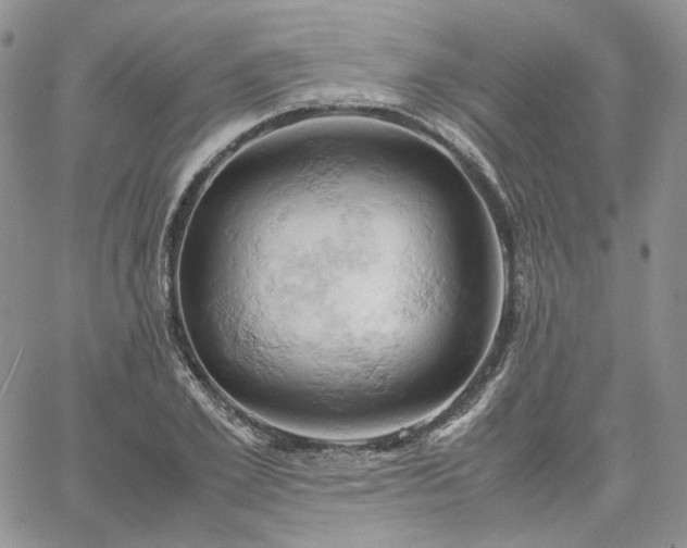 X0000061740981200512091606