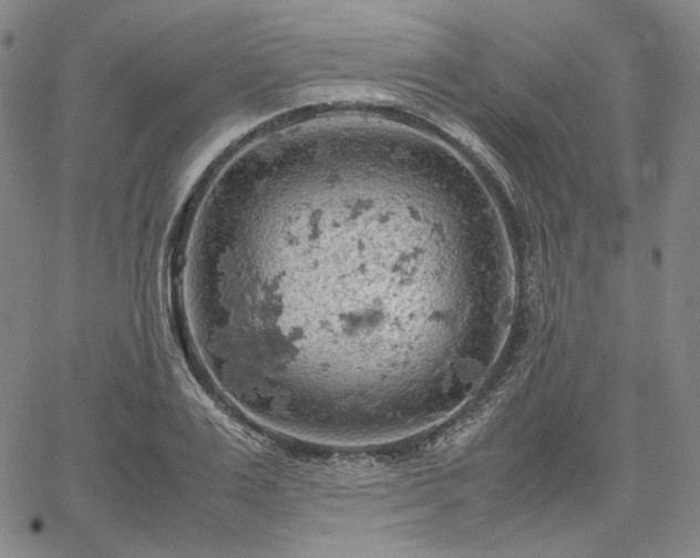 X0000061740983200512091606