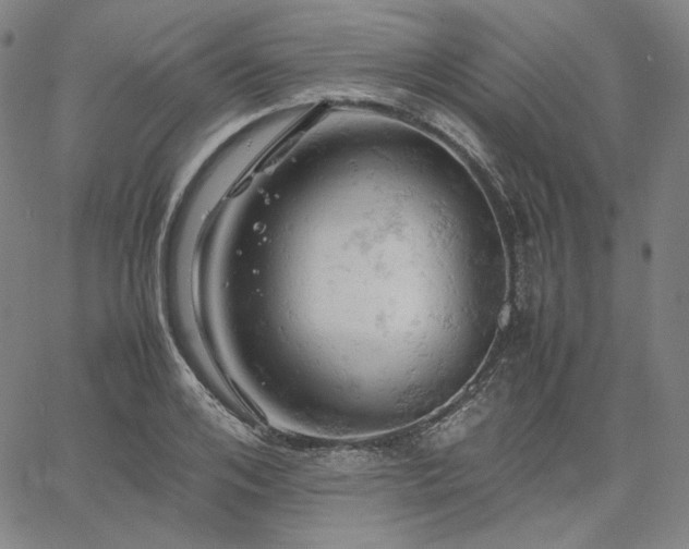 X0000061740984200512091606